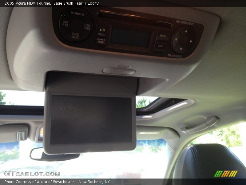 Sage Brush Pearl / Ebony 2005 Acura MDX Touring