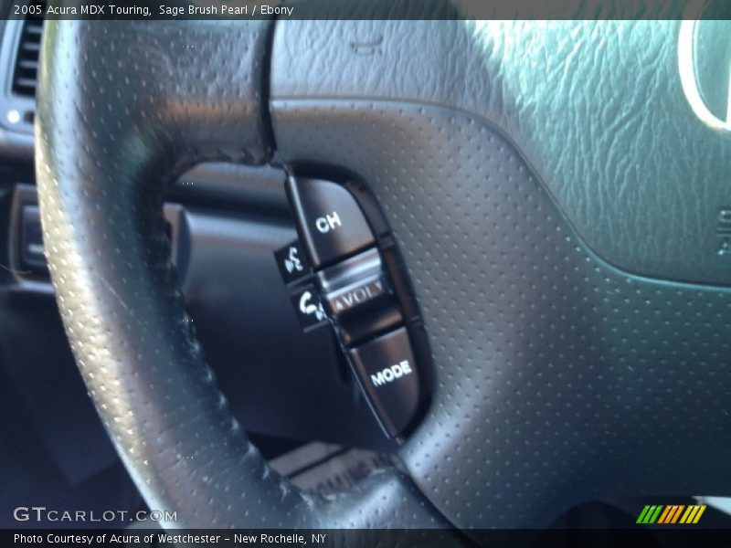 Sage Brush Pearl / Ebony 2005 Acura MDX Touring