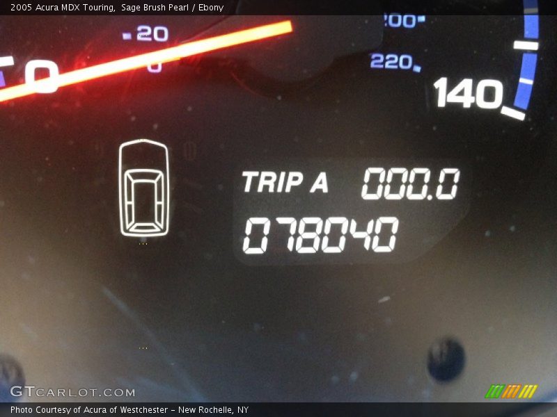 Sage Brush Pearl / Ebony 2005 Acura MDX Touring