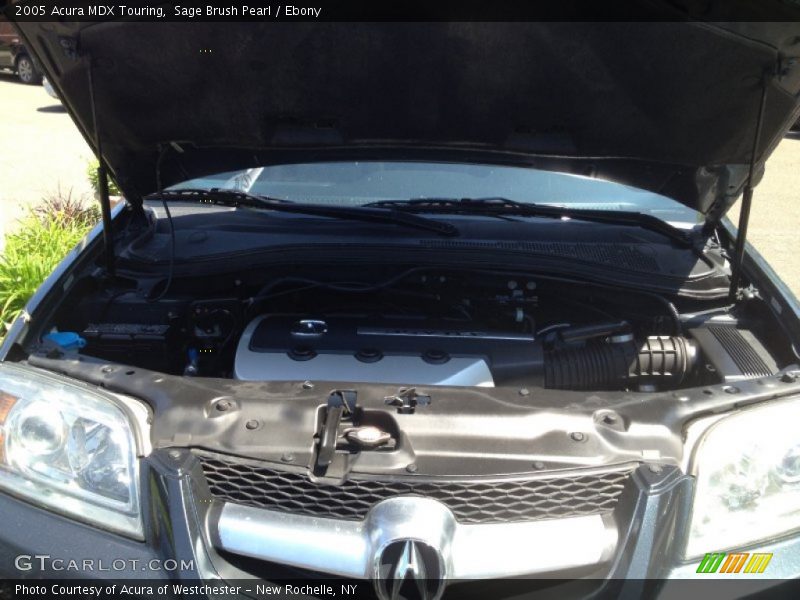 Sage Brush Pearl / Ebony 2005 Acura MDX Touring