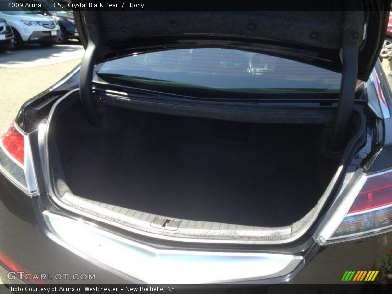 Crystal Black Pearl / Ebony 2009 Acura TL 3.5