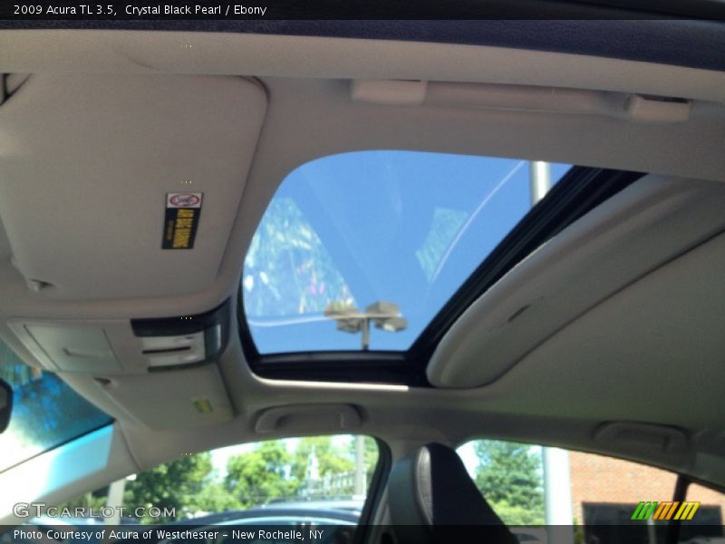Crystal Black Pearl / Ebony 2009 Acura TL 3.5