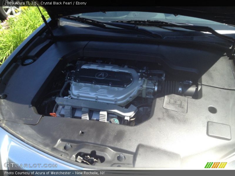 Crystal Black Pearl / Ebony 2009 Acura TL 3.5