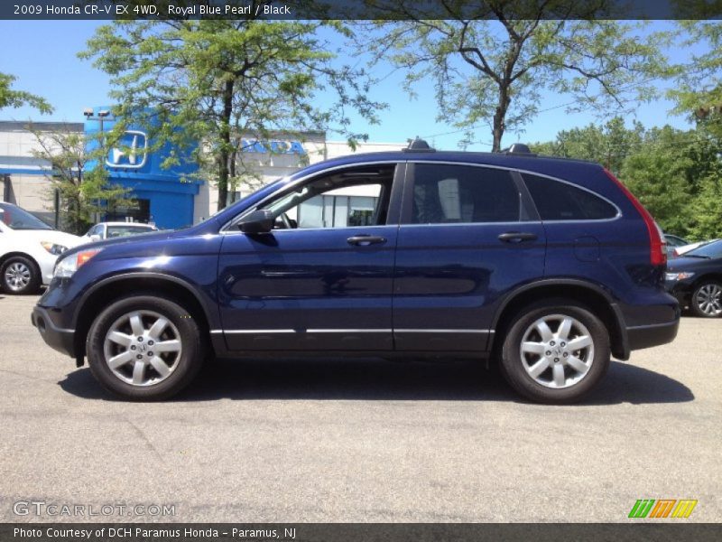 Royal Blue Pearl / Black 2009 Honda CR-V EX 4WD