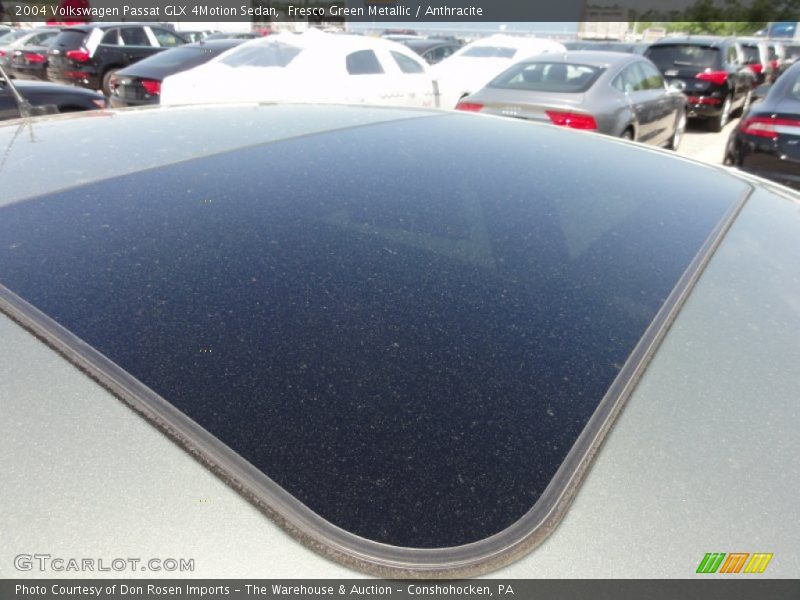Fresco Green Metallic / Anthracite 2004 Volkswagen Passat GLX 4Motion Sedan