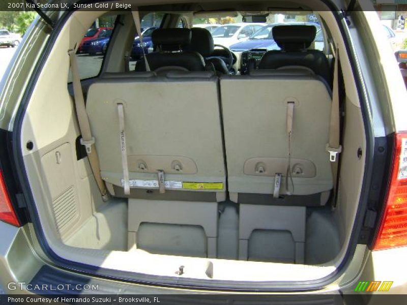 Sunset Gold / Beige 2007 Kia Sedona LX