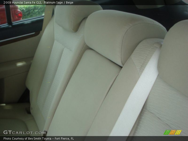 Platinum Sage / Beige 2009 Hyundai Santa Fe GLS