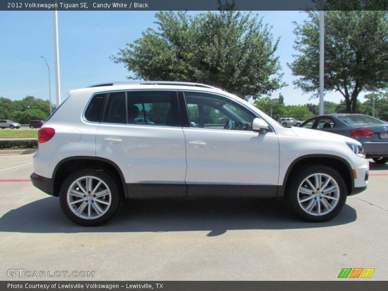 Candy White / Black 2012 Volkswagen Tiguan SE