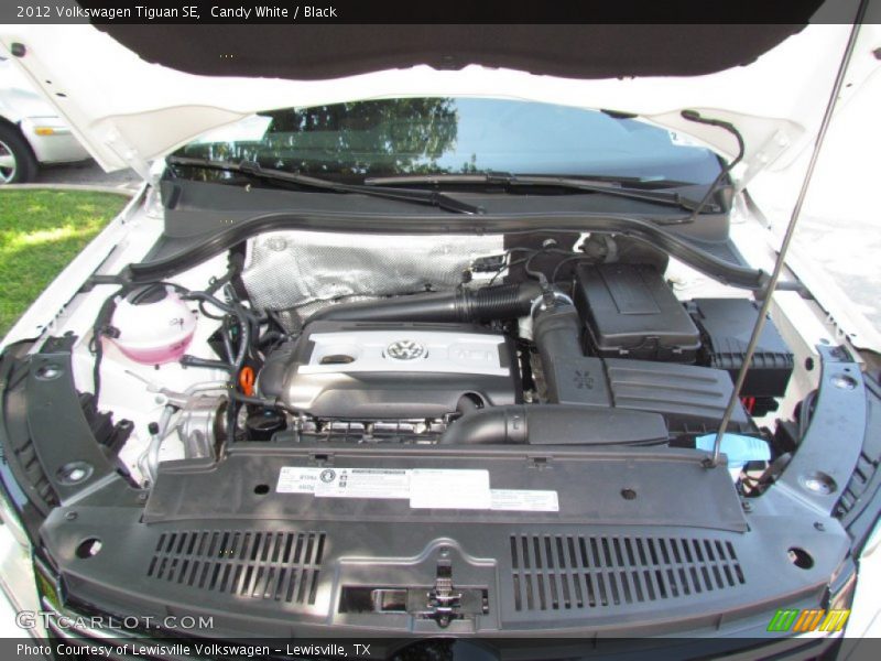 Candy White / Black 2012 Volkswagen Tiguan SE