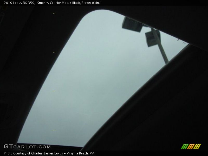 Smokey Granite Mica / Black/Brown Walnut 2010 Lexus RX 350