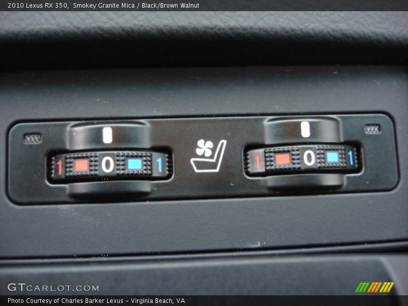 Smokey Granite Mica / Black/Brown Walnut 2010 Lexus RX 350