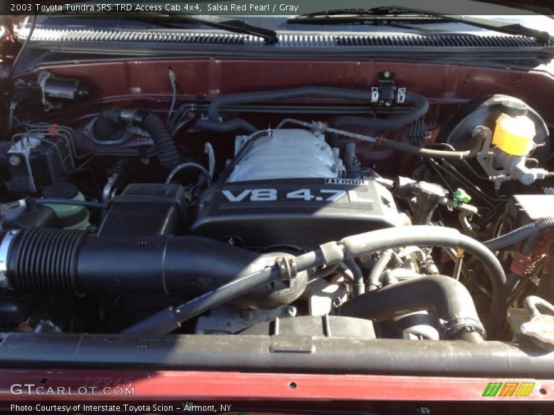 Salsa Red Pearl / Gray 2003 Toyota Tundra SR5 TRD Access Cab 4x4