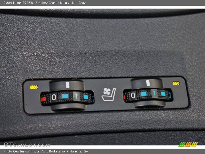 Smokey Granite Mica / Light Gray 2009 Lexus ES 350