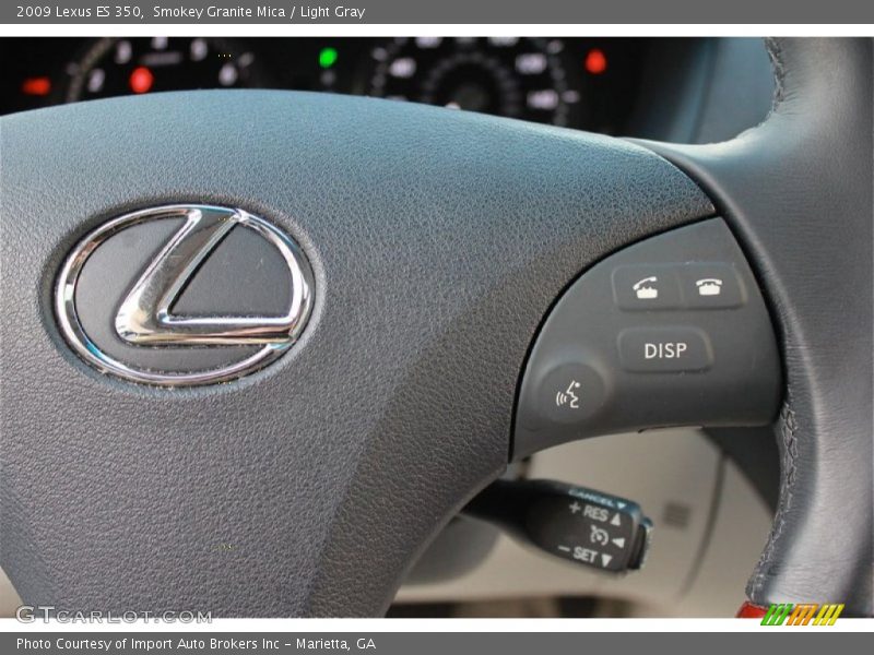 Smokey Granite Mica / Light Gray 2009 Lexus ES 350