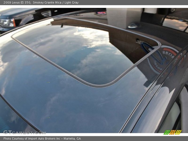 Smokey Granite Mica / Light Gray 2009 Lexus ES 350