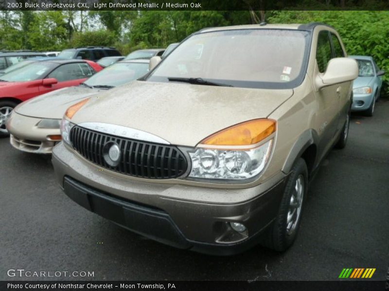 Light Driftwood Metallic / Medium Oak 2003 Buick Rendezvous CXL