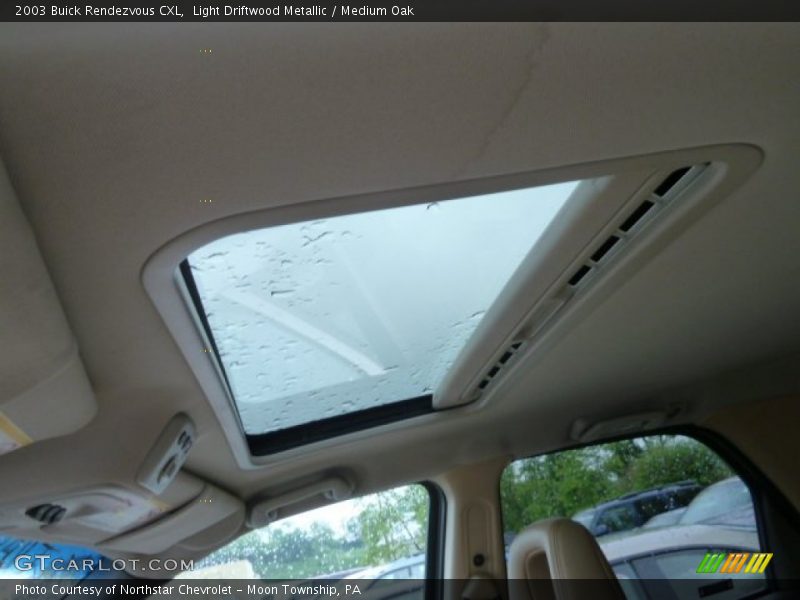 Light Driftwood Metallic / Medium Oak 2003 Buick Rendezvous CXL