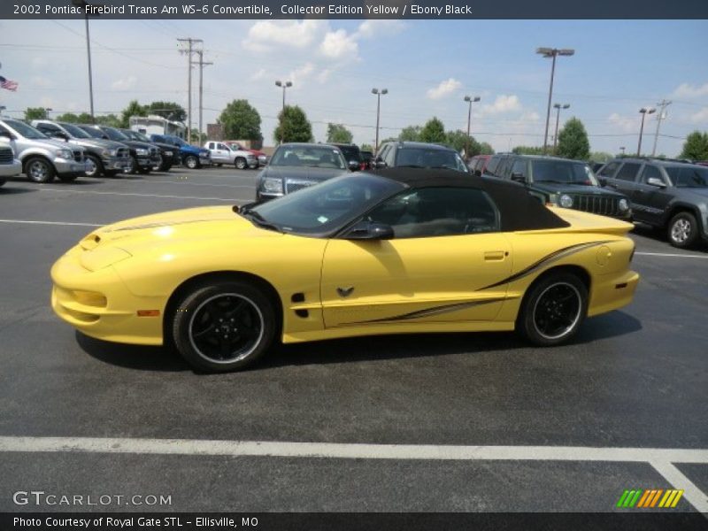 Collector Edition Yellow / Ebony Black 2002 Pontiac Firebird Trans Am WS-6 Convertible