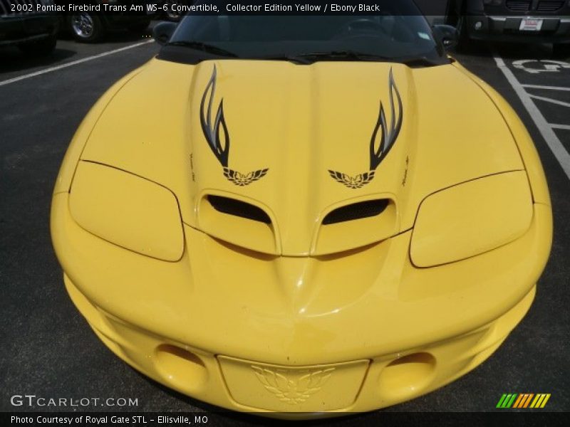  2002 Firebird Trans Am WS-6 Convertible Collector Edition Yellow