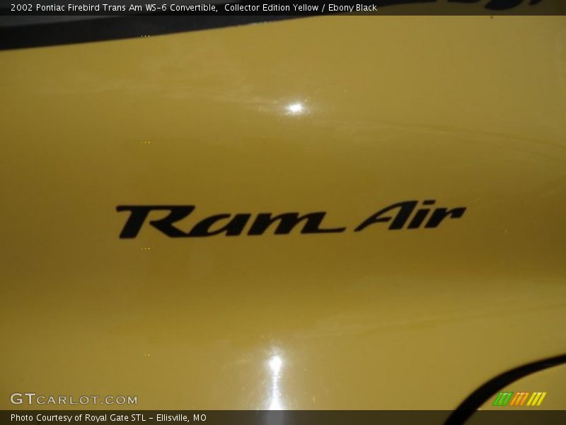 Collector Edition Yellow / Ebony Black 2002 Pontiac Firebird Trans Am WS-6 Convertible