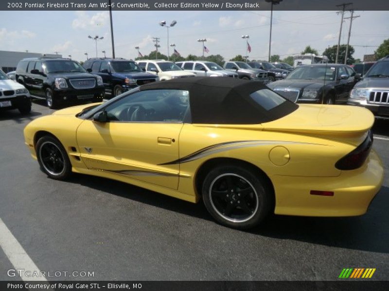 Collector Edition Yellow / Ebony Black 2002 Pontiac Firebird Trans Am WS-6 Convertible