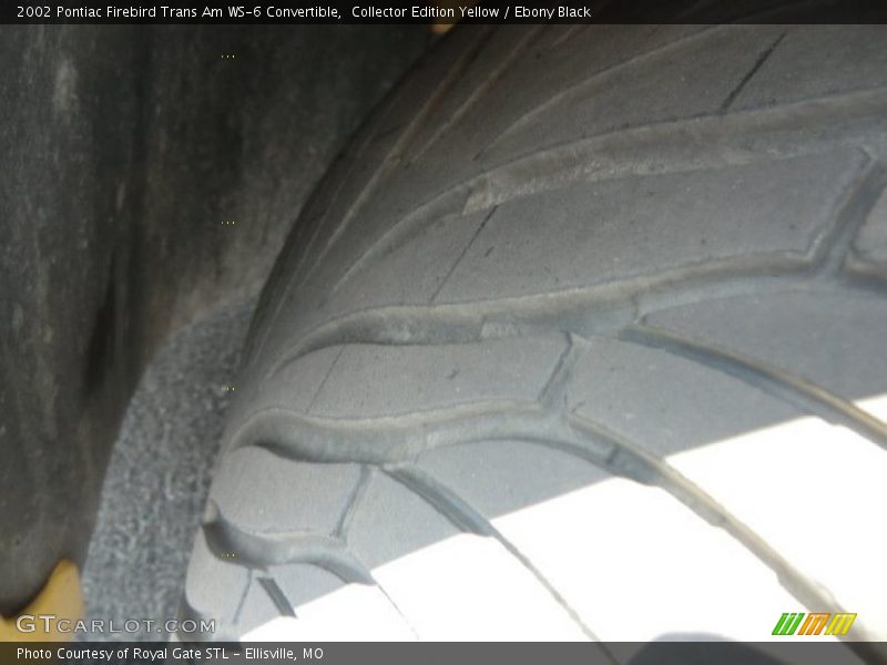 Collector Edition Yellow / Ebony Black 2002 Pontiac Firebird Trans Am WS-6 Convertible