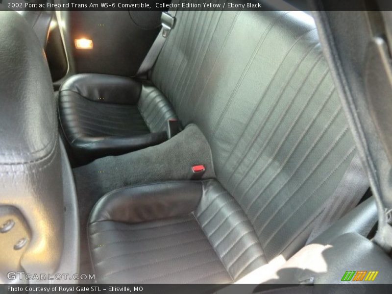 Collector Edition Yellow / Ebony Black 2002 Pontiac Firebird Trans Am WS-6 Convertible