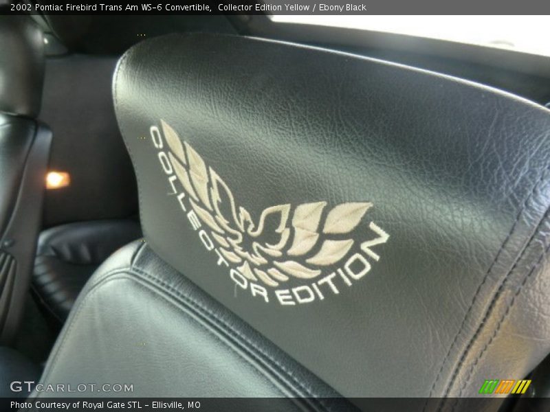  2002 Firebird Trans Am WS-6 Convertible Logo