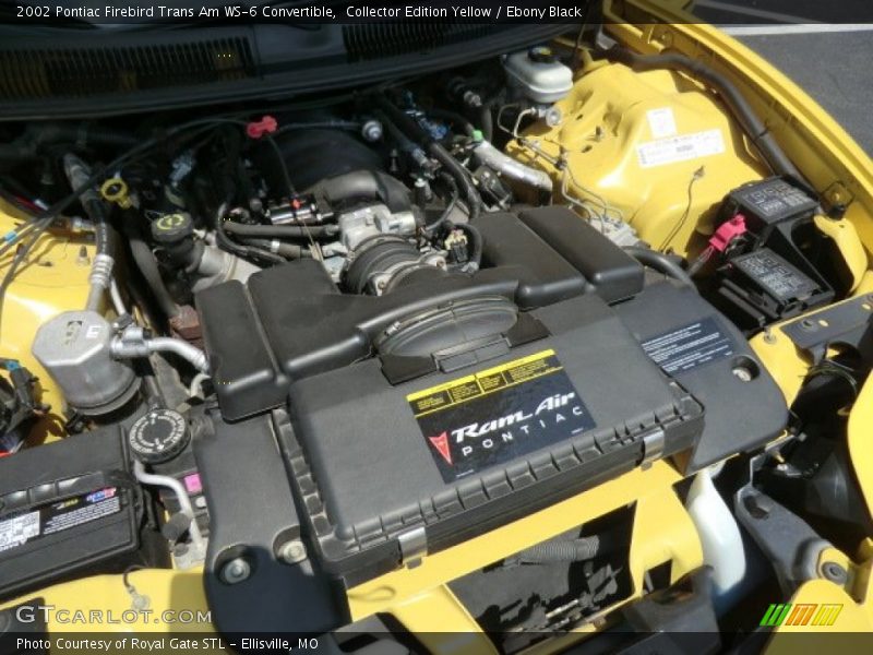  2002 Firebird Trans Am WS-6 Convertible Engine - 5.7 Liter OHV 16-Valve LS1 V8