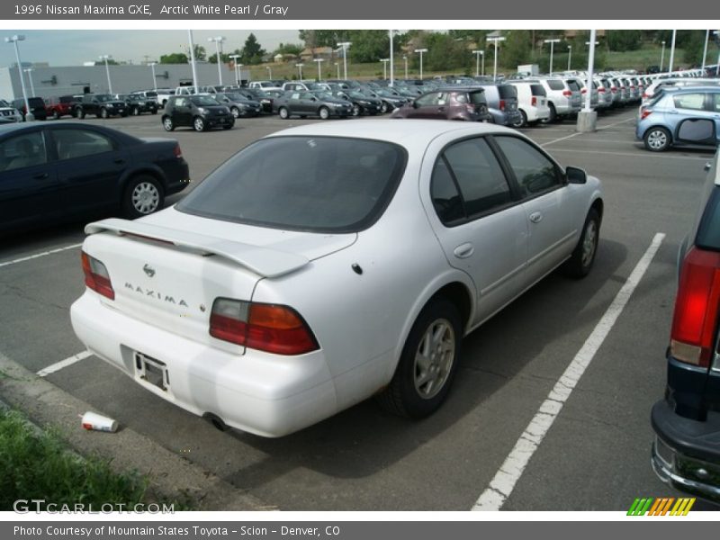 Arctic White Pearl / Gray 1996 Nissan Maxima GXE
