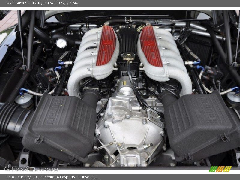  1995 F512 M  Engine - 4.9 Liter DOHC 48-Valve Flat 12 Cylinder