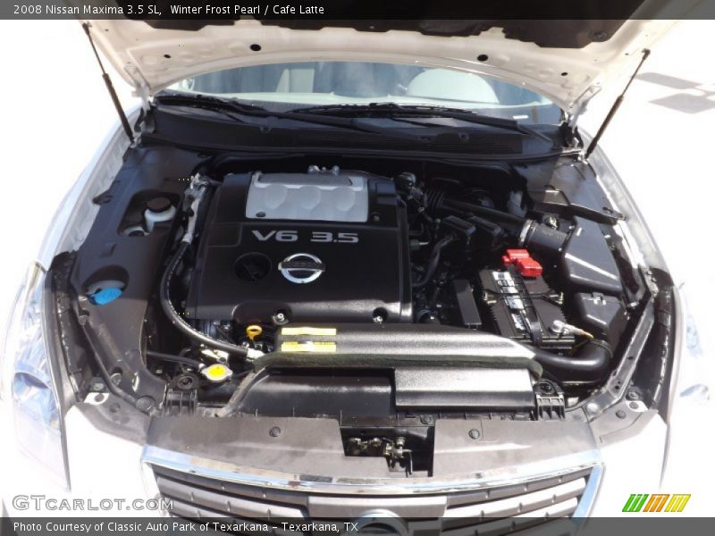 Winter Frost Pearl / Cafe Latte 2008 Nissan Maxima 3.5 SL