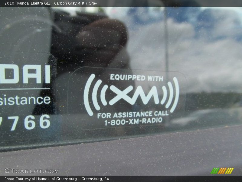 Carbon Gray Mist / Gray 2010 Hyundai Elantra GLS