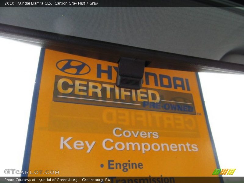 Carbon Gray Mist / Gray 2010 Hyundai Elantra GLS