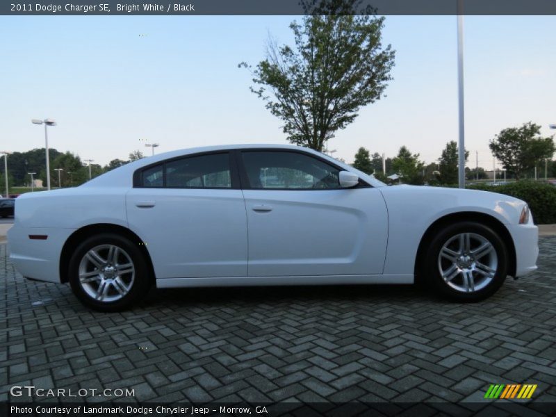 Bright White / Black 2011 Dodge Charger SE