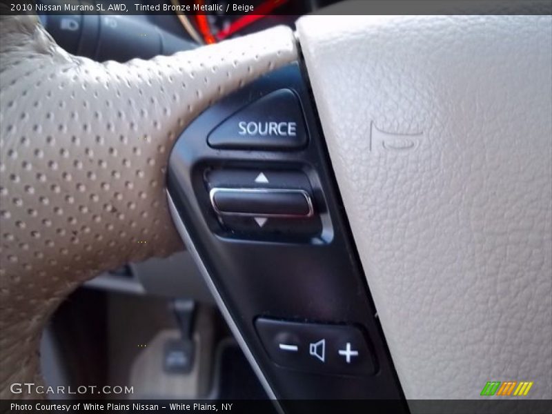Tinted Bronze Metallic / Beige 2010 Nissan Murano SL AWD
