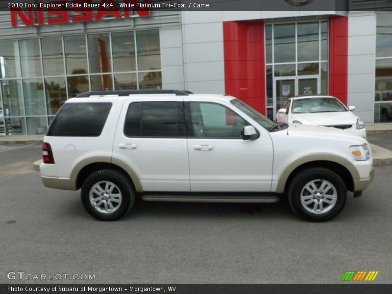 White Platinum Tri-Coat / Camel 2010 Ford Explorer Eddie Bauer 4x4