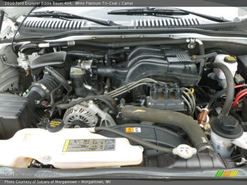 White Platinum Tri-Coat / Camel 2010 Ford Explorer Eddie Bauer 4x4