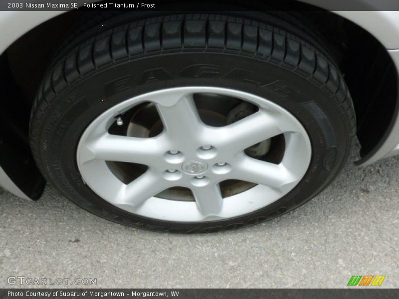 Polished Titanium / Frost 2003 Nissan Maxima SE