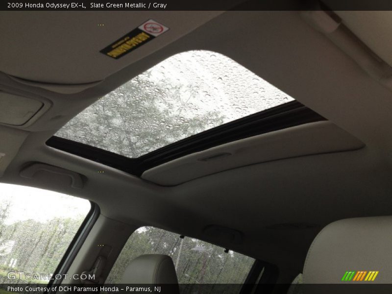 Slate Green Metallic / Gray 2009 Honda Odyssey EX-L
