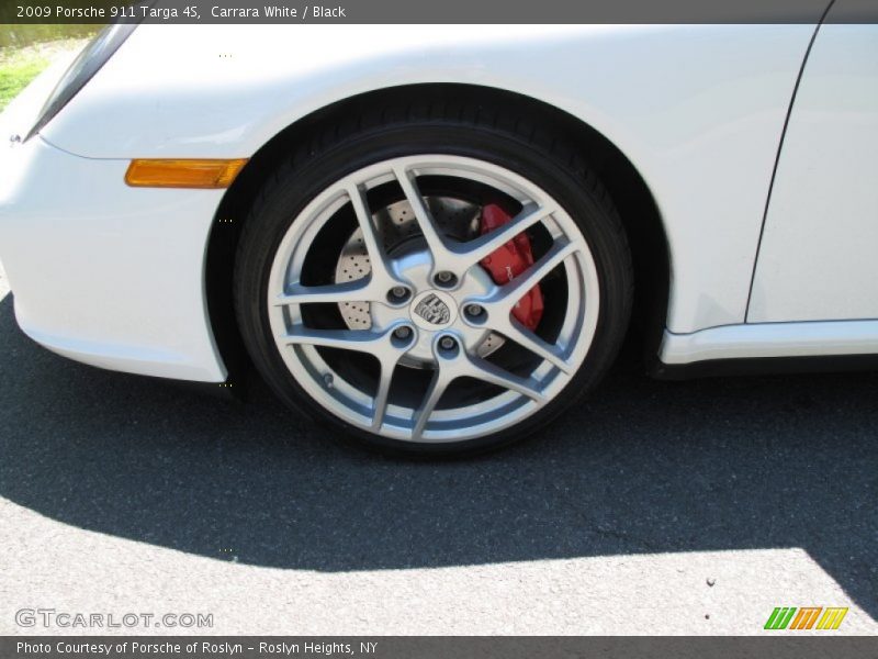  2009 911 Targa 4S Wheel