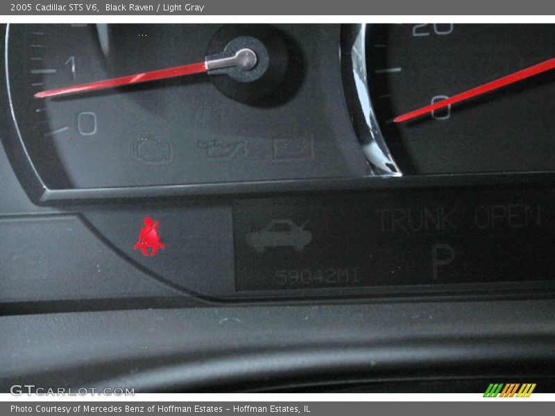 Black Raven / Light Gray 2005 Cadillac STS V6