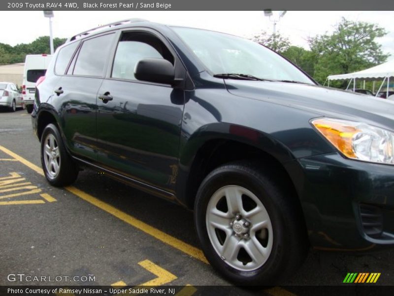 Black Forest Pearl / Sand Beige 2009 Toyota RAV4 4WD