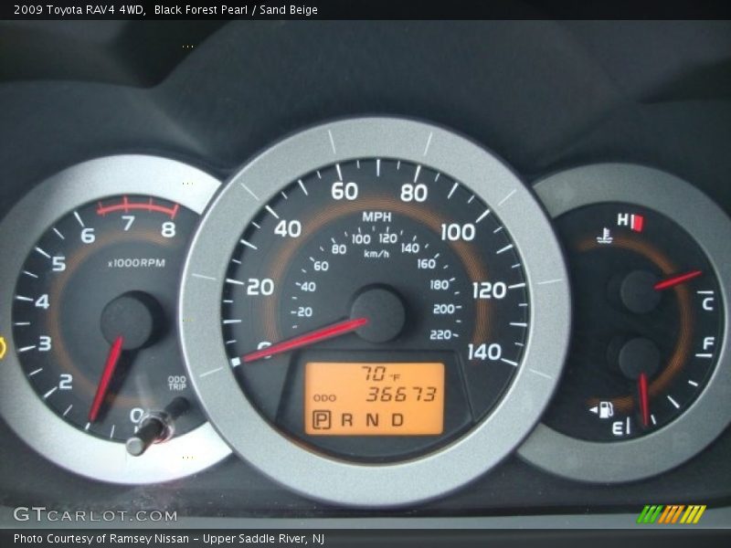Black Forest Pearl / Sand Beige 2009 Toyota RAV4 4WD