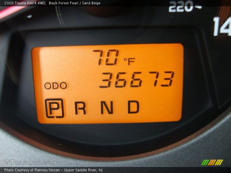 Black Forest Pearl / Sand Beige 2009 Toyota RAV4 4WD