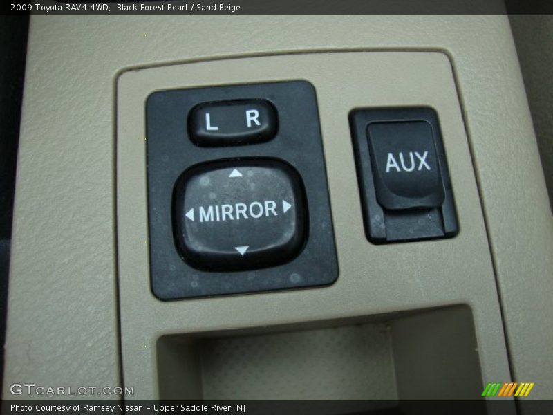 Black Forest Pearl / Sand Beige 2009 Toyota RAV4 4WD