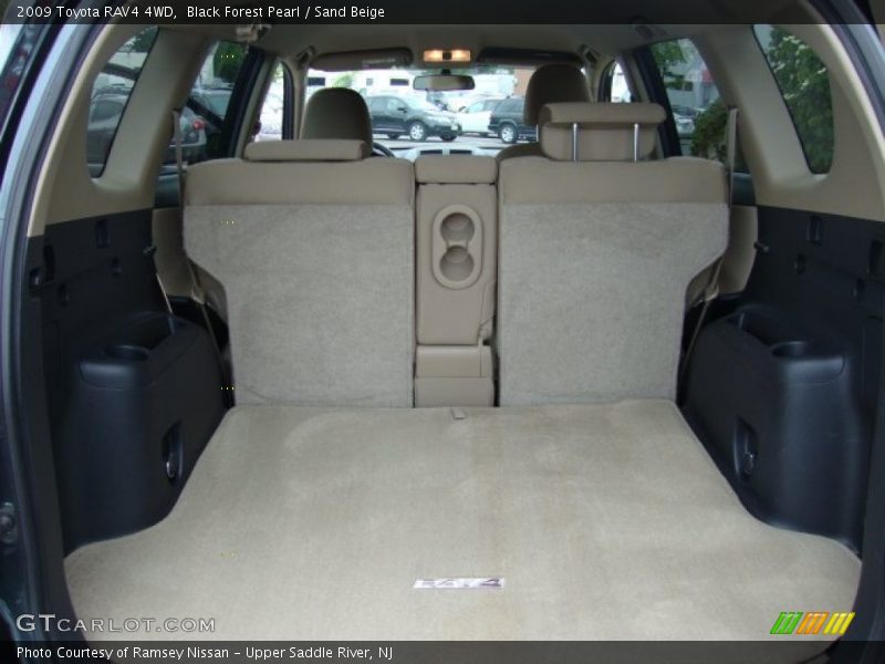 Black Forest Pearl / Sand Beige 2009 Toyota RAV4 4WD