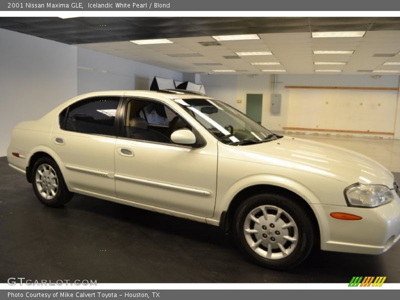 Icelandic White Pearl / Blond 2001 Nissan Maxima GLE