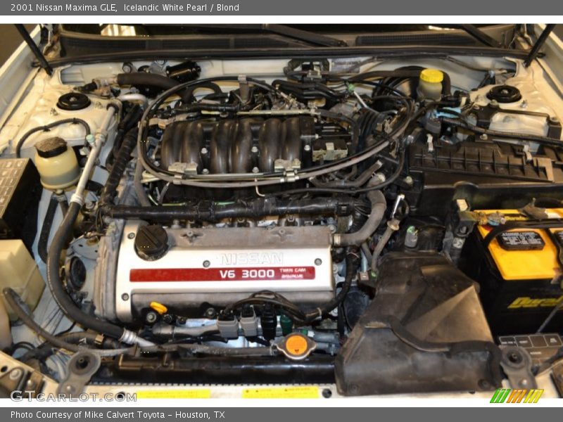 Icelandic White Pearl / Blond 2001 Nissan Maxima GLE