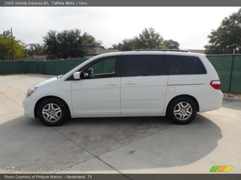 Taffeta White / Ivory 2005 Honda Odyssey EX